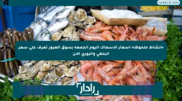 «نشاط ملحوظ» أسعار الأسماك اليوم الجمعة بسوق العبور تعرف على سعر البلطي والبوري الآن